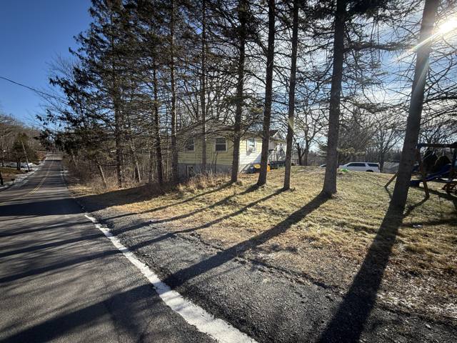 Before: street approach with the house through the trees