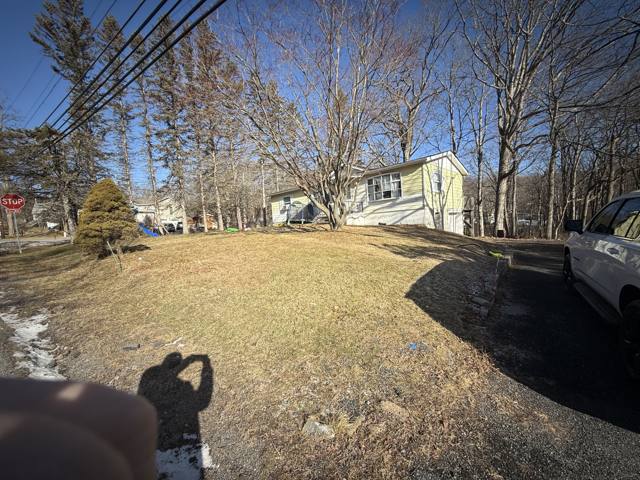 Before: front yard wide from the road corner